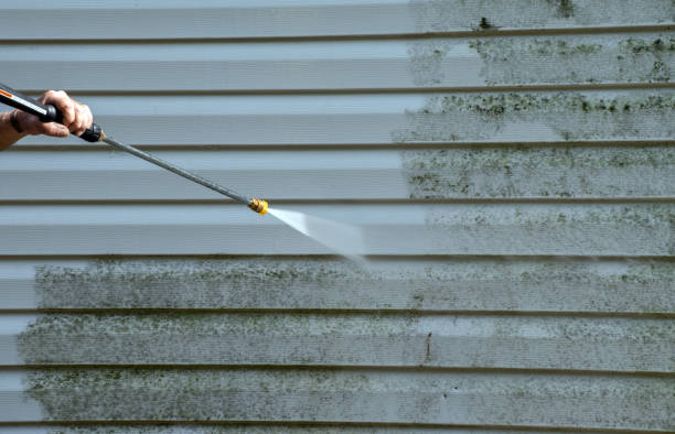 Mold Testing and Removal in Burnham, PA