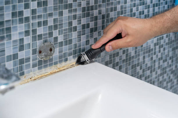 Best Commercial Mold Removal  in Burnham, PA